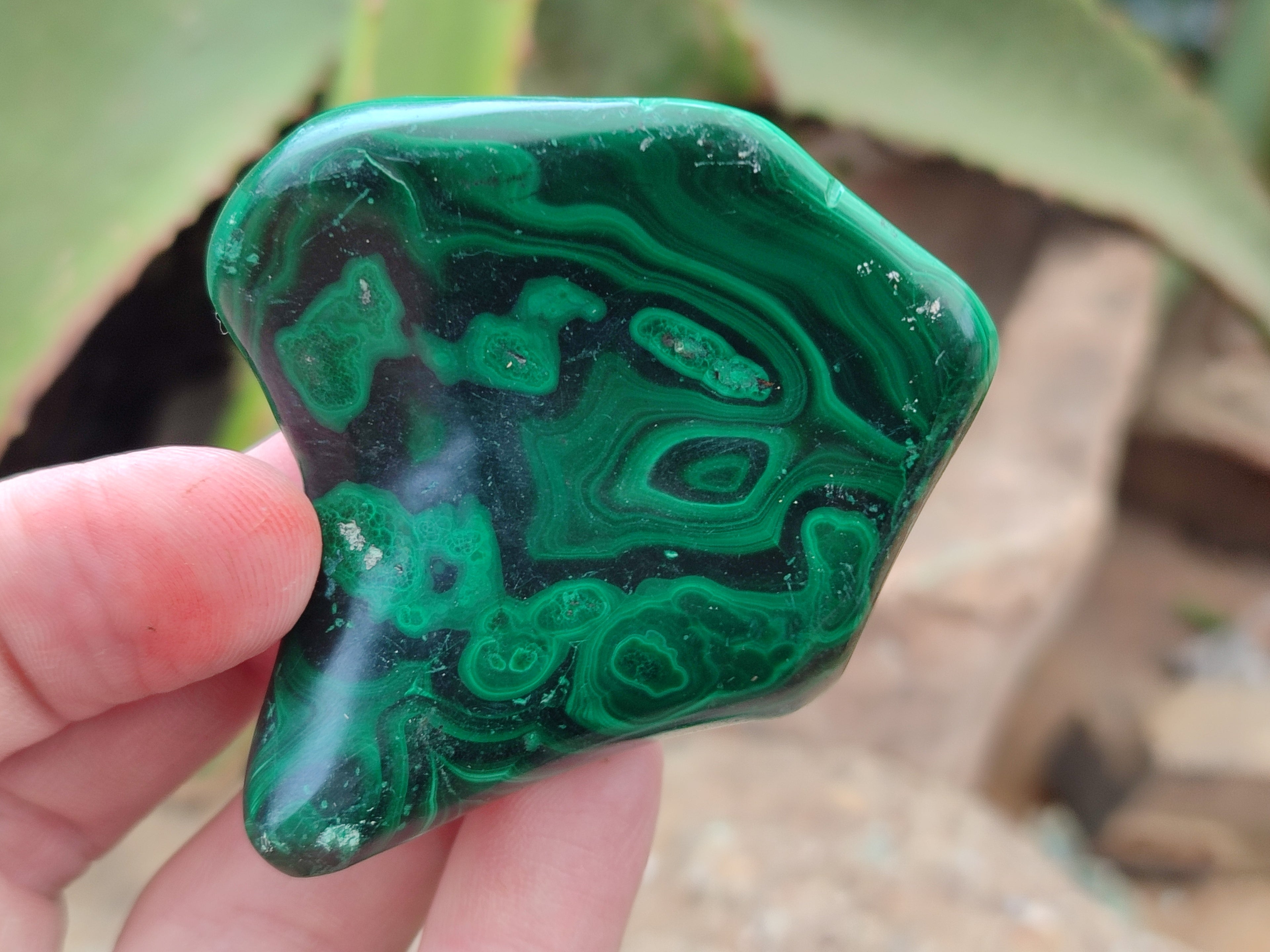 Polished Flower Banded Malachite Free Forms x 15 From Congo - Toprock Gemstones and Minerals 