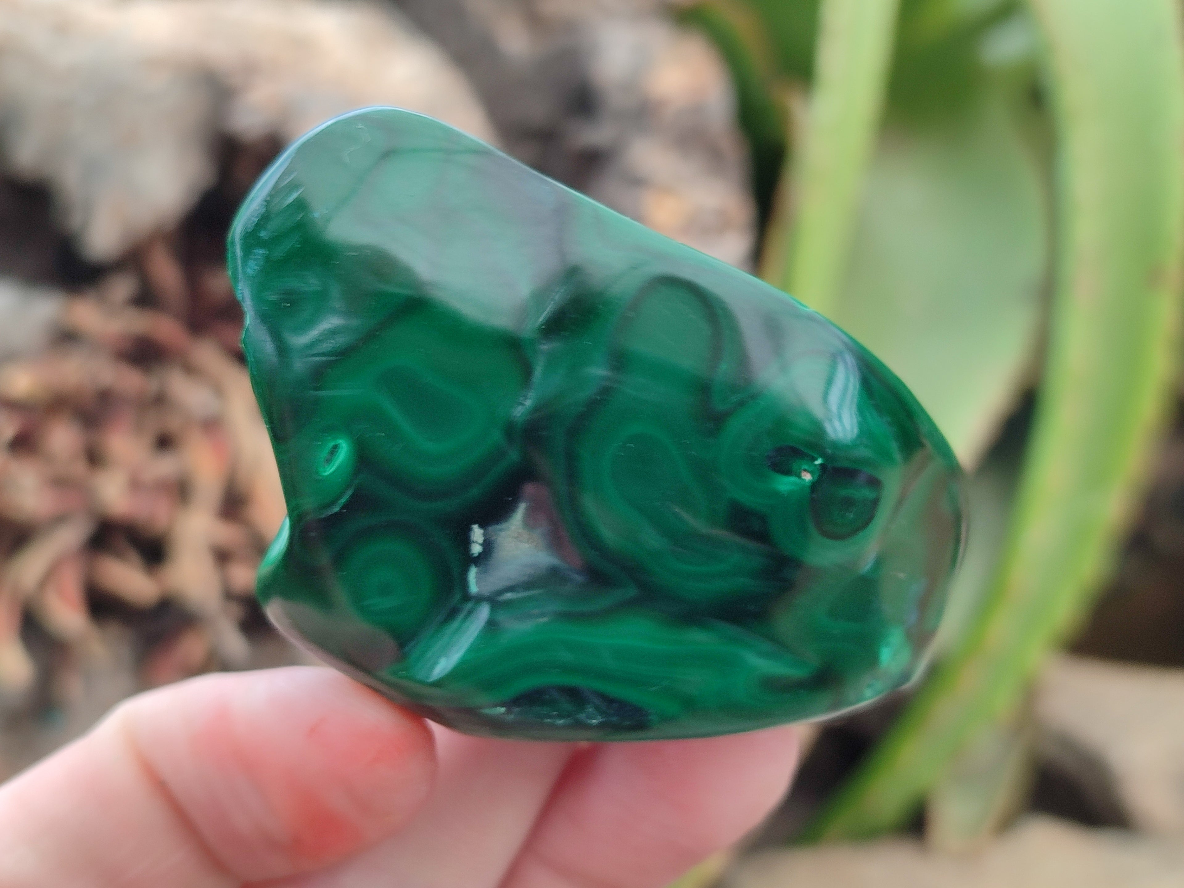 Polished Flower Banded Malachite Free Forms x 15 From Congo - Toprock Gemstones and Minerals 