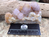 Natural Ametrine Spirit Quartz Clusters x 2 From Boekenhouthoek, South Africa