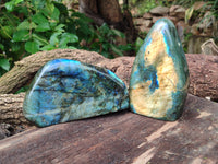 Polished Labradorite Standing Free Forms x 2 From Tulear, Madagascar - Toprock Gemstones and Minerals 