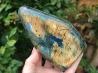 Polished Labradorite Standing Free Forms x 2 From Tulear, Madagascar - Toprock Gemstones and Minerals 