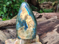Polished Labradorite Standing Free Forms x 2 From Tulear, Madagascar - Toprock Gemstones and Minerals 