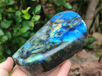 Polished Labradorite Standing Free Forms x 2 From Tulear, Madagascar - Toprock Gemstones and Minerals 