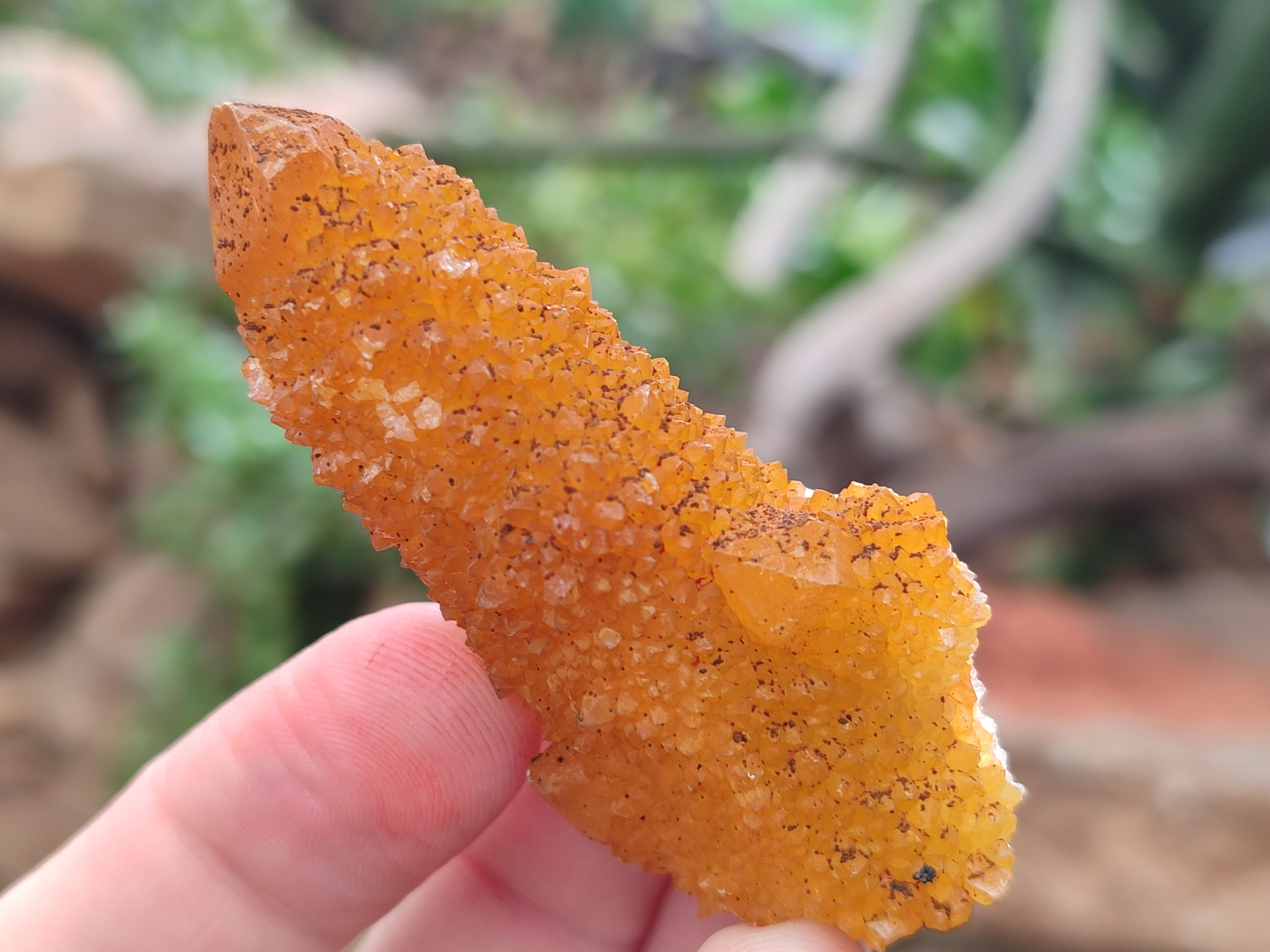 Natural Golden Solar Spirit Quartz Crystals x 20 From Boekenhouthoek, South Africa - Toprock Gemstones and Minerals 