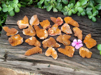 Natural Golden Solar Spirit Quartz Crystals x 20 From Boekenhouthoek, South Africa - Toprock Gemstones and Minerals 