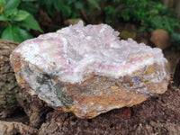 Natural Rare Rhodocalcite Specimen x 1 From Mashamba West, Congo - Toprock Gemstones and Minerals 