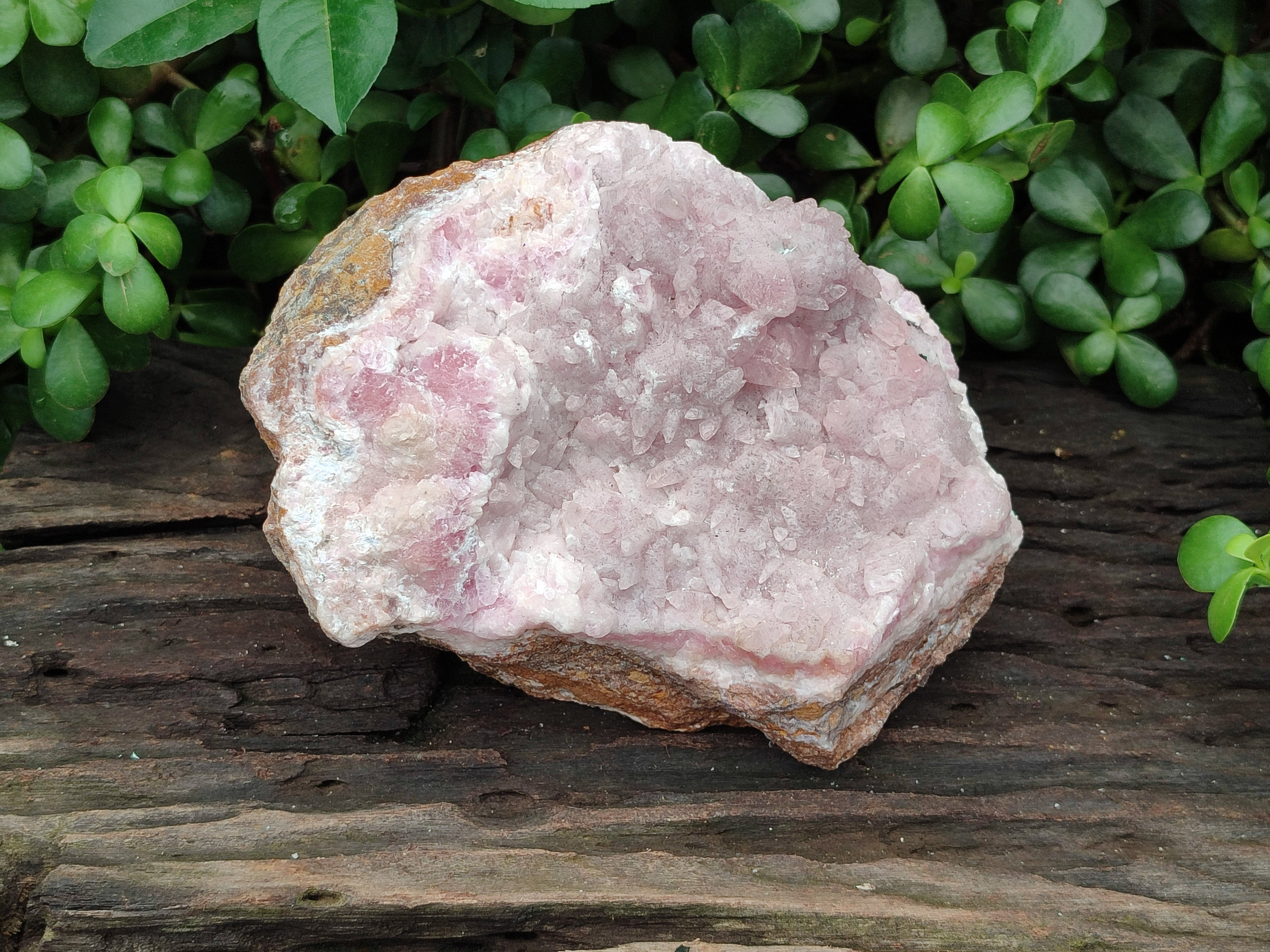 Natural Rare Rhodocalcite Specimen x 1 From Mashamba West, Congo - Toprock Gemstones and Minerals 