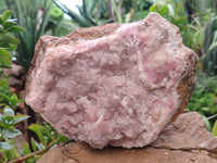 Natural Rare Rhodocalcite Specimen x 1 From Mashamba West, Congo - Toprock Gemstones and Minerals 