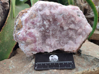 Natural Rare Rhodocalcite Specimen x 1 From Mashamba West, Congo - Toprock Gemstones and Minerals 