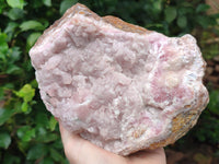 Natural Rare Rhodocalcite Specimen x 1 From Mashamba West, Congo - Toprock Gemstones and Minerals 