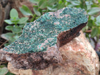 Natural Botryoidal Malachite Specimens x 3 From Tenke Fungurume, Congo - Toprock Gemstones and Minerals 