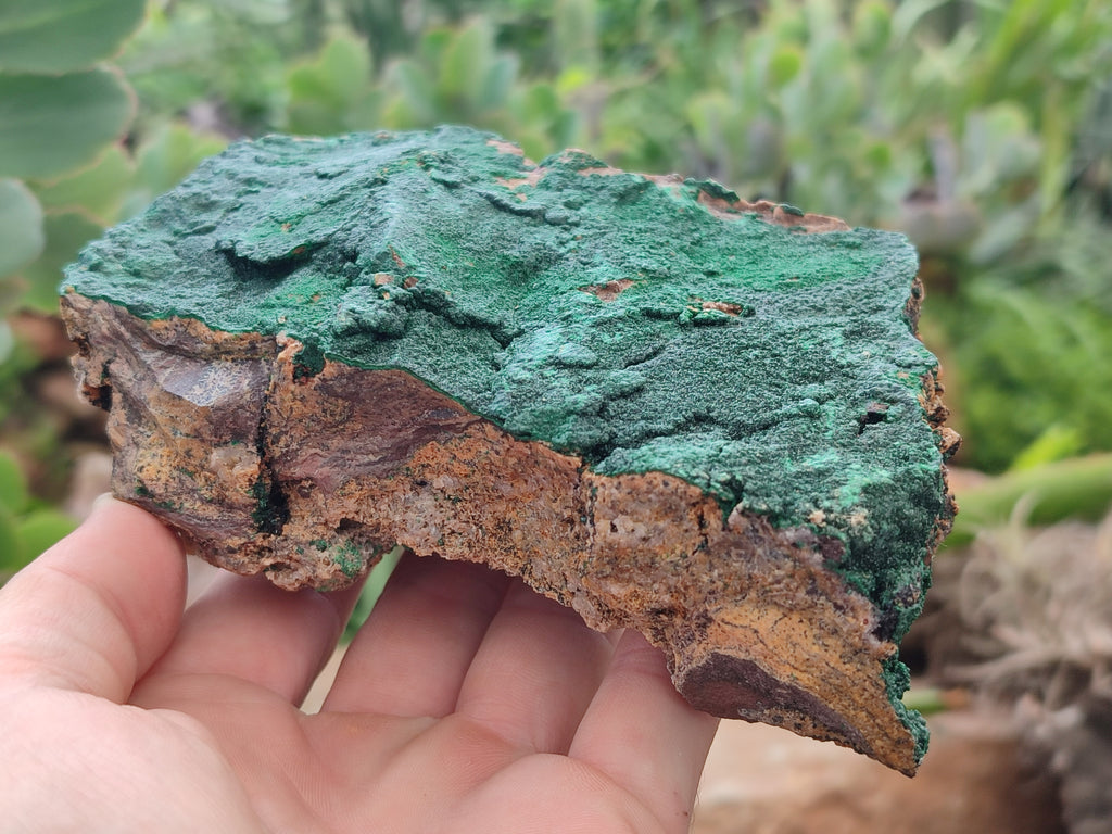Natural Botryoidal Malachite Specimens x 3 From Tenke Fungurume, Congo - Toprock Gemstones and Minerals 