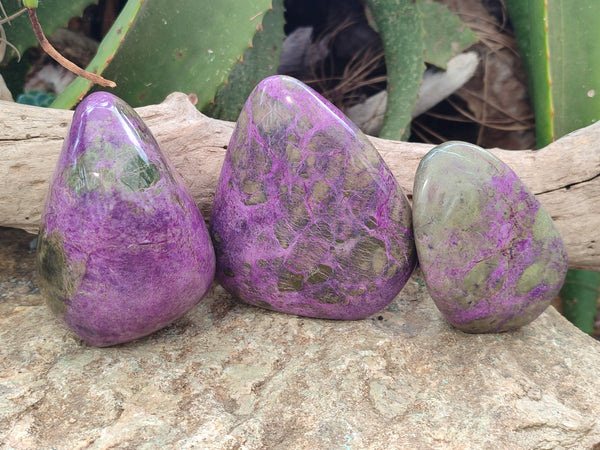 Polished Stichtite Standing Free Forms x 3 From Barberton, South Africa - Toprock Gemstones and Minerals 