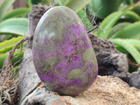 Polished Stichtite Standing Free Forms x 3 From Barberton, South Africa - Toprock Gemstones and Minerals 