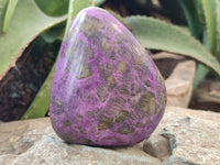 Polished Stichtite Standing Free Forms x 3 From Barberton, South Africa - Toprock Gemstones and Minerals 