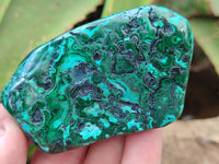 Polished Malacolla Free Forms x 12 From Kalukundi Mine, Congo - Toprock Gemstones and Minerals 