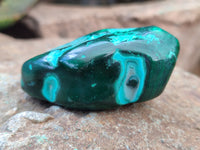 Polished Malacolla Free Forms x 12 From Kalukundi Mine, Congo - Toprock Gemstones and Minerals 