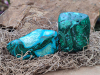 Polished Malacolla Free Forms x 12 From Kalukundi Mine, Congo - Toprock Gemstones and Minerals 