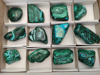 Polished Malacolla Free Forms x 12 From Kalukundi Mine, Congo - Toprock Gemstones and Minerals 