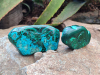Polished Malacolla Free Forms x 12 From Kalukundi Mine, Congo - Toprock Gemstones and Minerals 