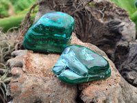 Polished Malacolla Free Forms x 12 From Kalukundi Mine, Congo - Toprock Gemstones and Minerals 