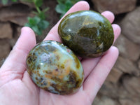 Polished Green Opal Galet - Palm Stones x 15 From Antsirabe, Madagascar