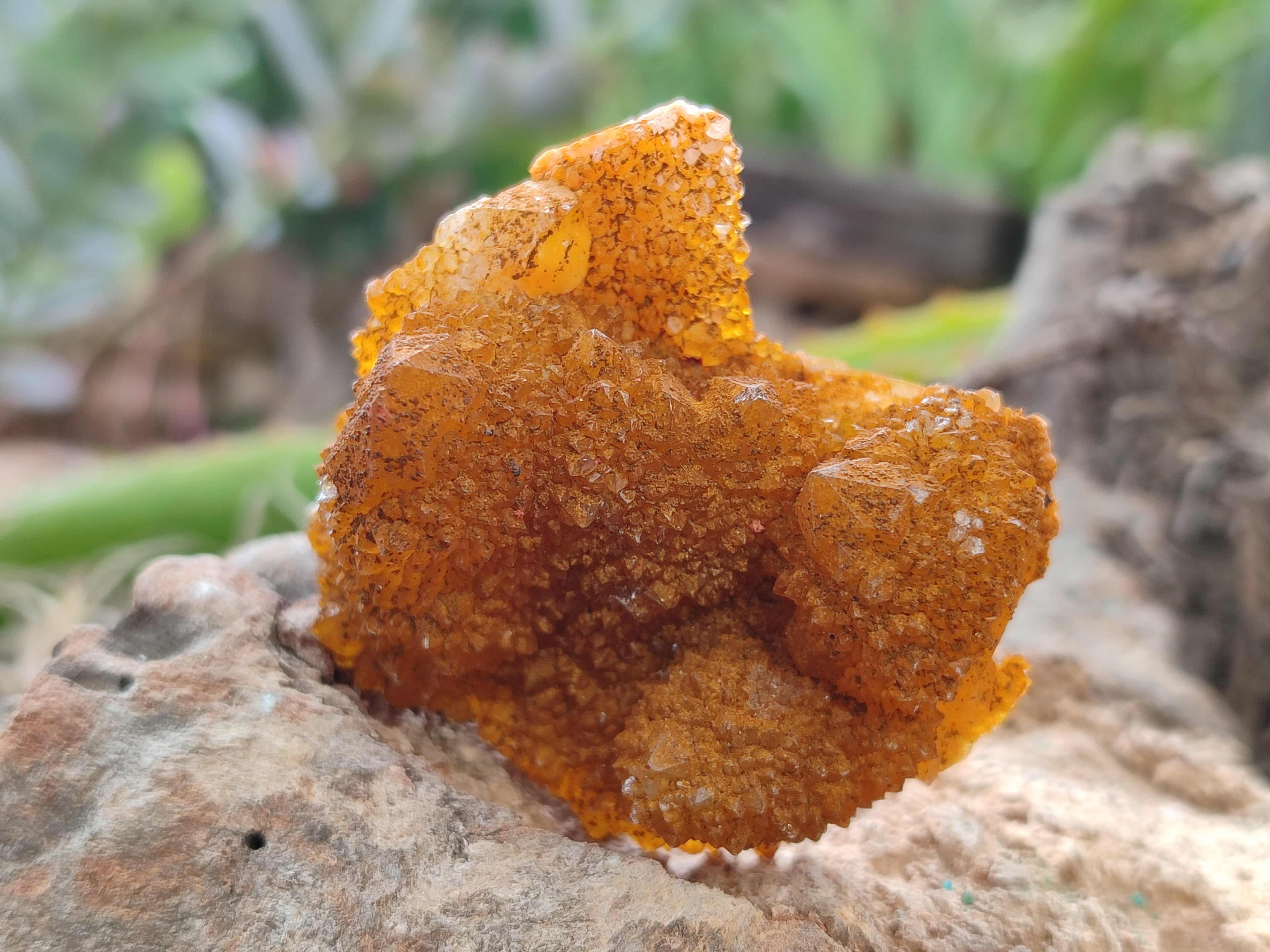 Natural Golden Solar Spirit Quartz Crystals x 12 From Boekenhouthoek, South Africa - Toprock Gemstones and Minerals 