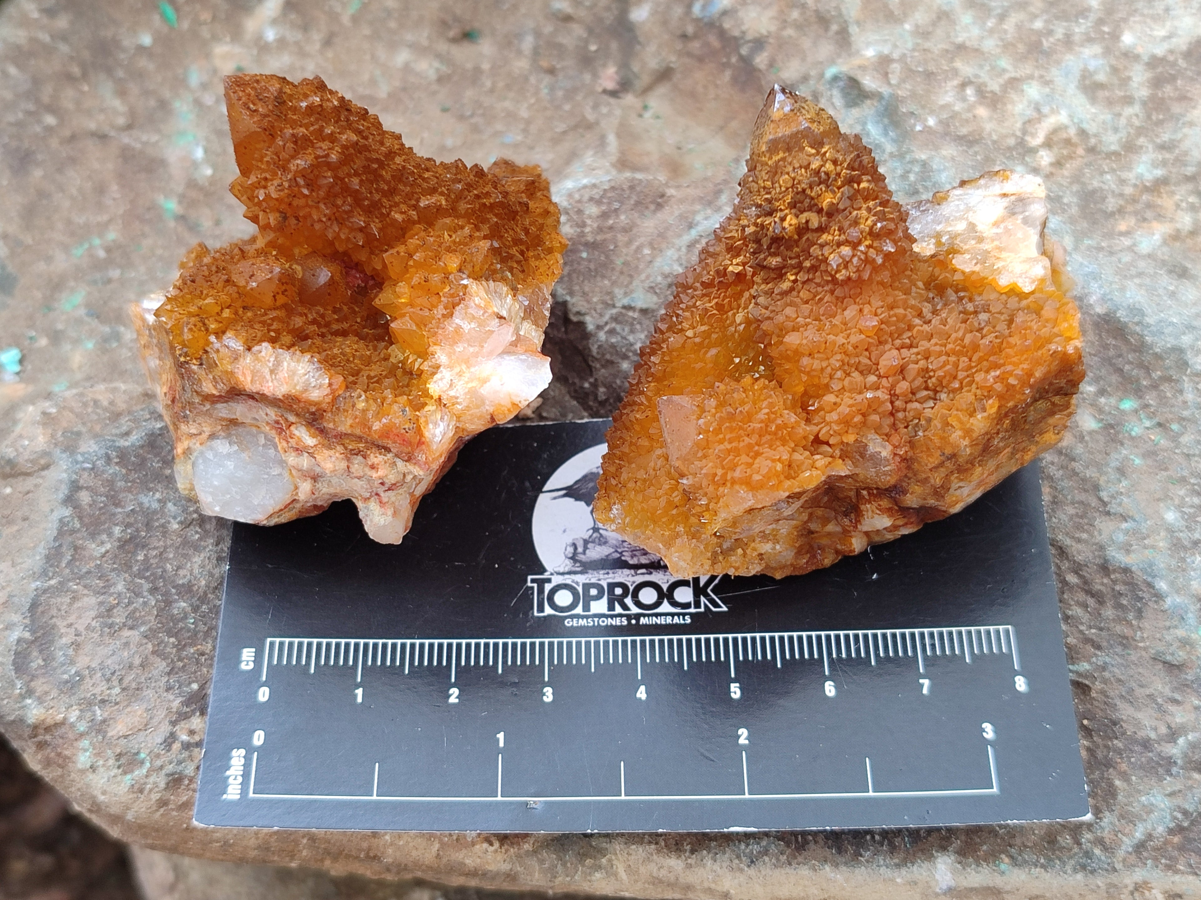 Natural Golden Solar Spirit Quartz Crystals x 12 From Boekenhouthoek, South Africa - Toprock Gemstones and Minerals 