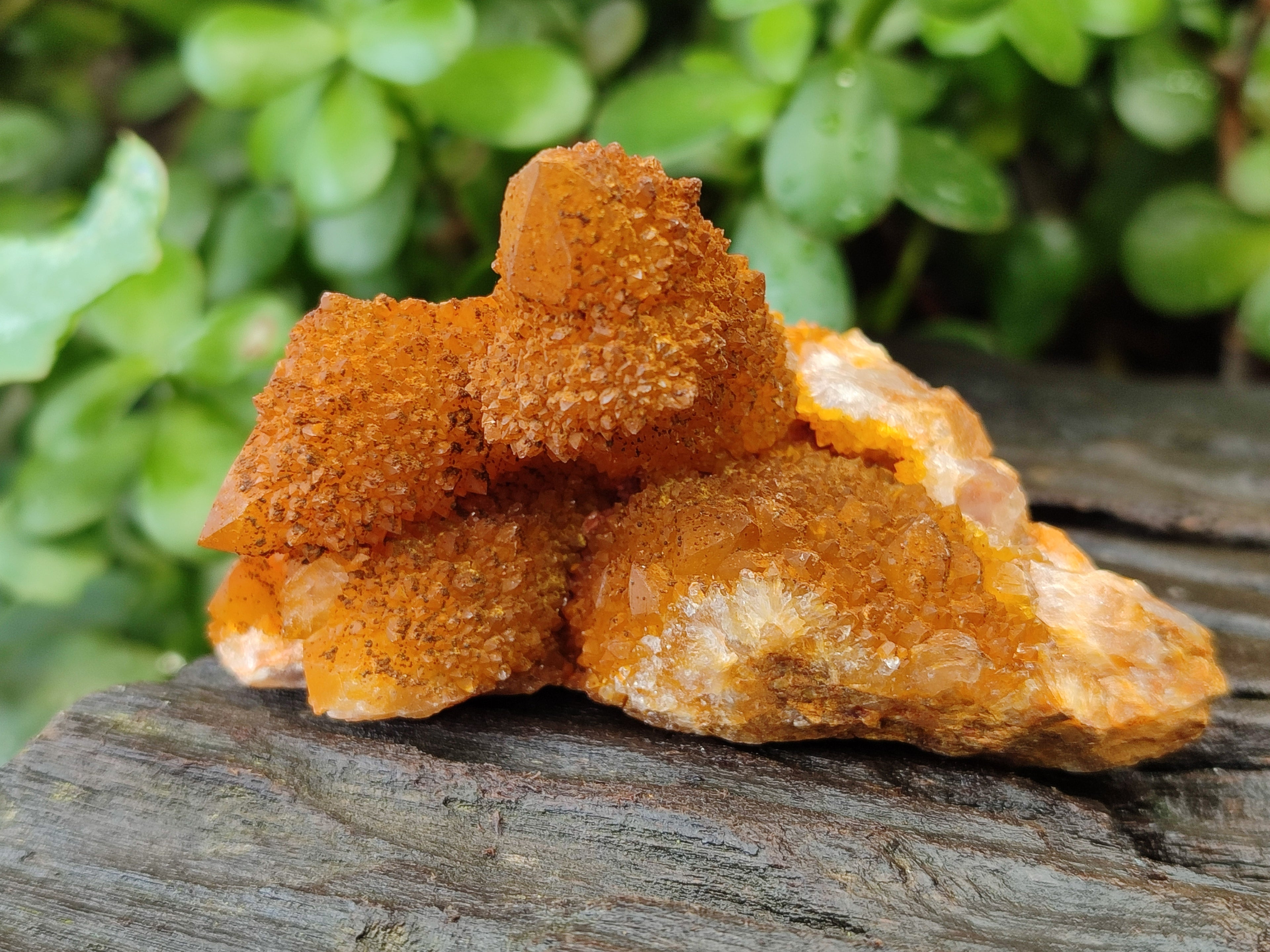 Natural Golden Solar Spirit Quartz Crystals x 12 From Boekenhouthoek, South Africa - Toprock Gemstones and Minerals 