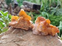 Natural Golden Solar Spirit Quartz Crystals x 12 From Boekenhouthoek, South Africa - Toprock Gemstones and Minerals 