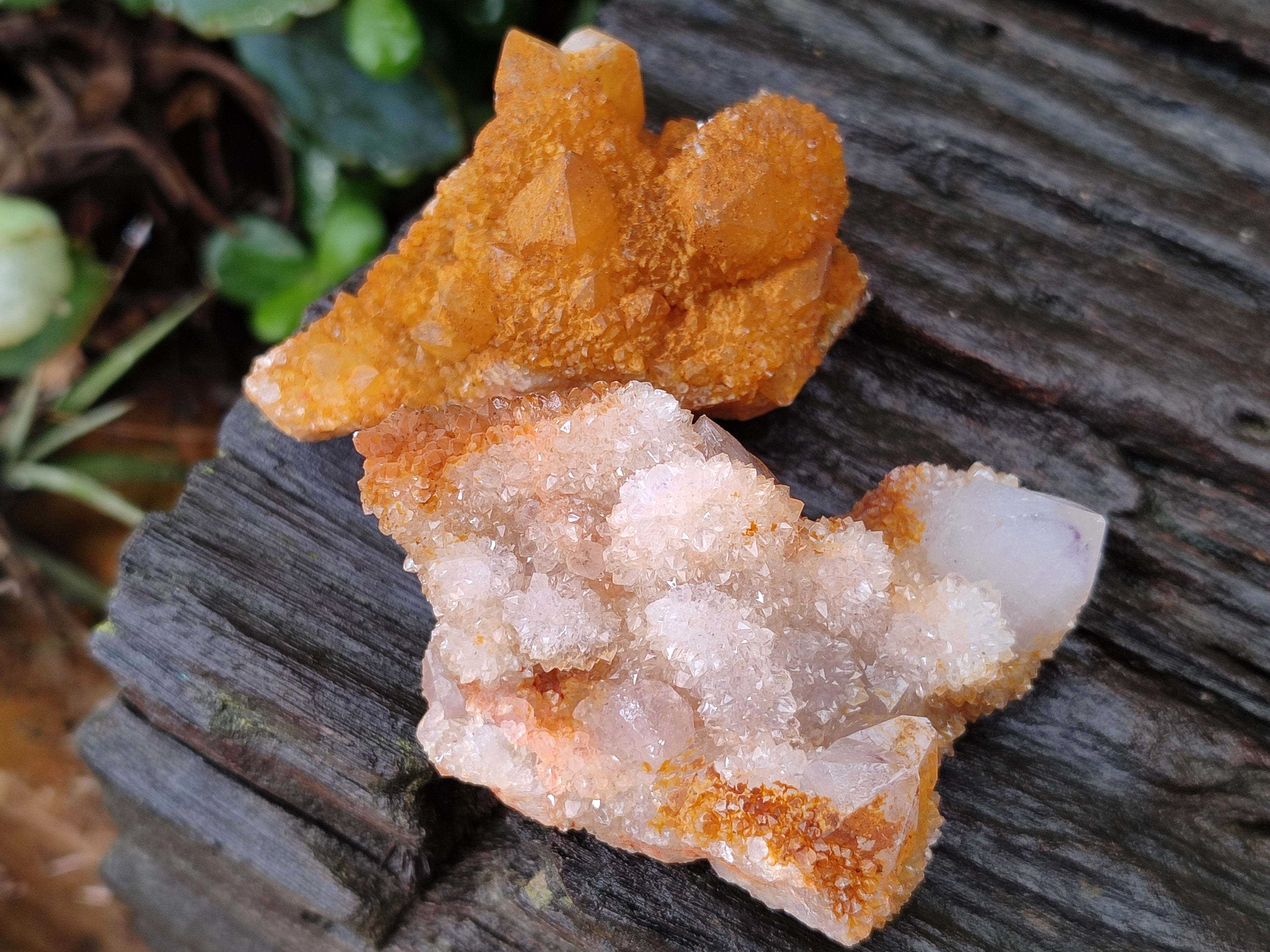 Natural Golden Solar Spirit Quartz Crystals x 12 From Boekenhouthoek, South Africa - Toprock Gemstones and Minerals 