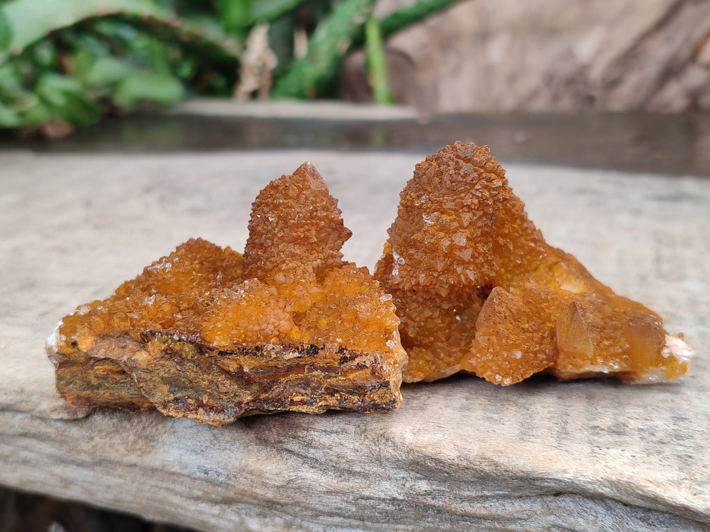 Natural Golden Solar Spirit Quartz Crystals x 12 From Boekenhouthoek, South Africa - Toprock Gemstones and Minerals 