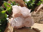 Natural Amethyst Spirit Quartz Clusters x 6 From Boekenhouthoek, South Africa - Toprock Gemstones and Minerals 