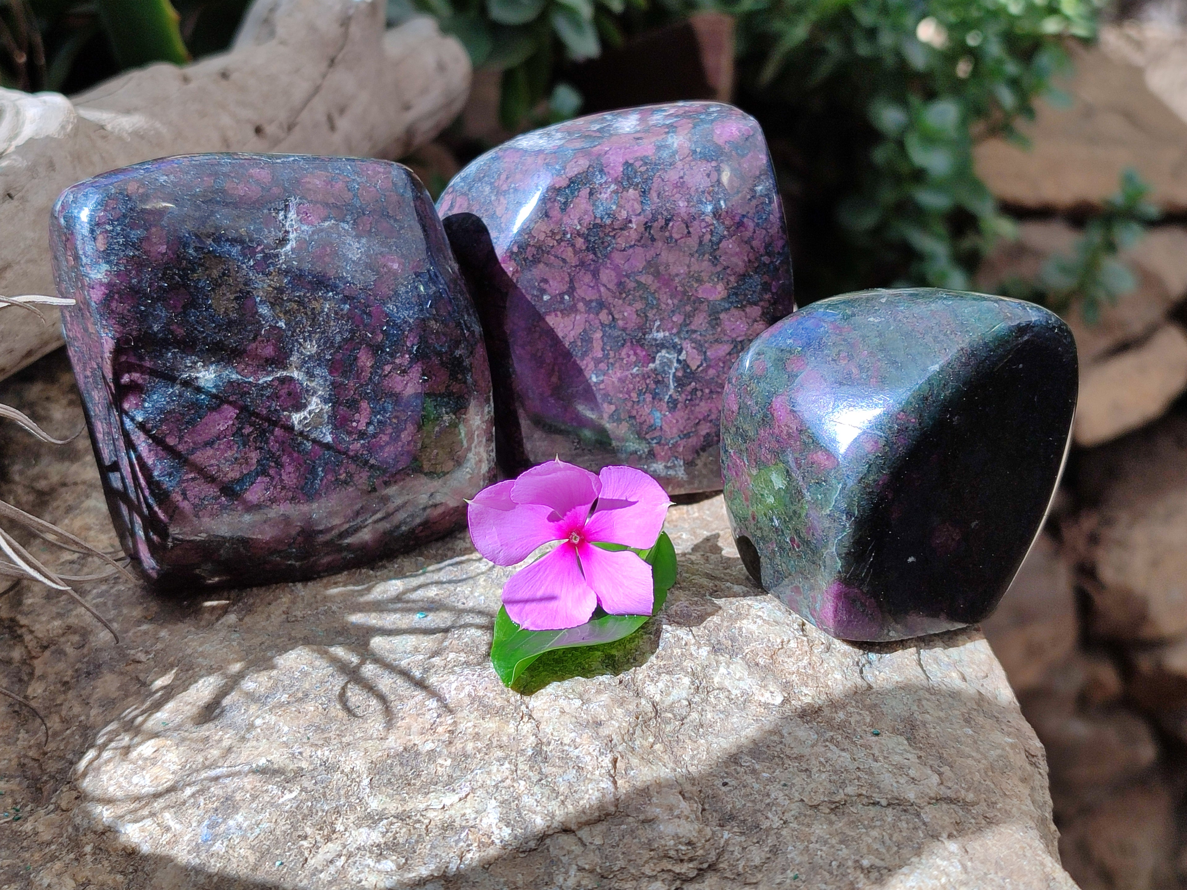 Polished Ruby Corundum In Chrome Verdite Free Forms x 3 From Zimbabwe - Toprock Gemstones and Minerals 