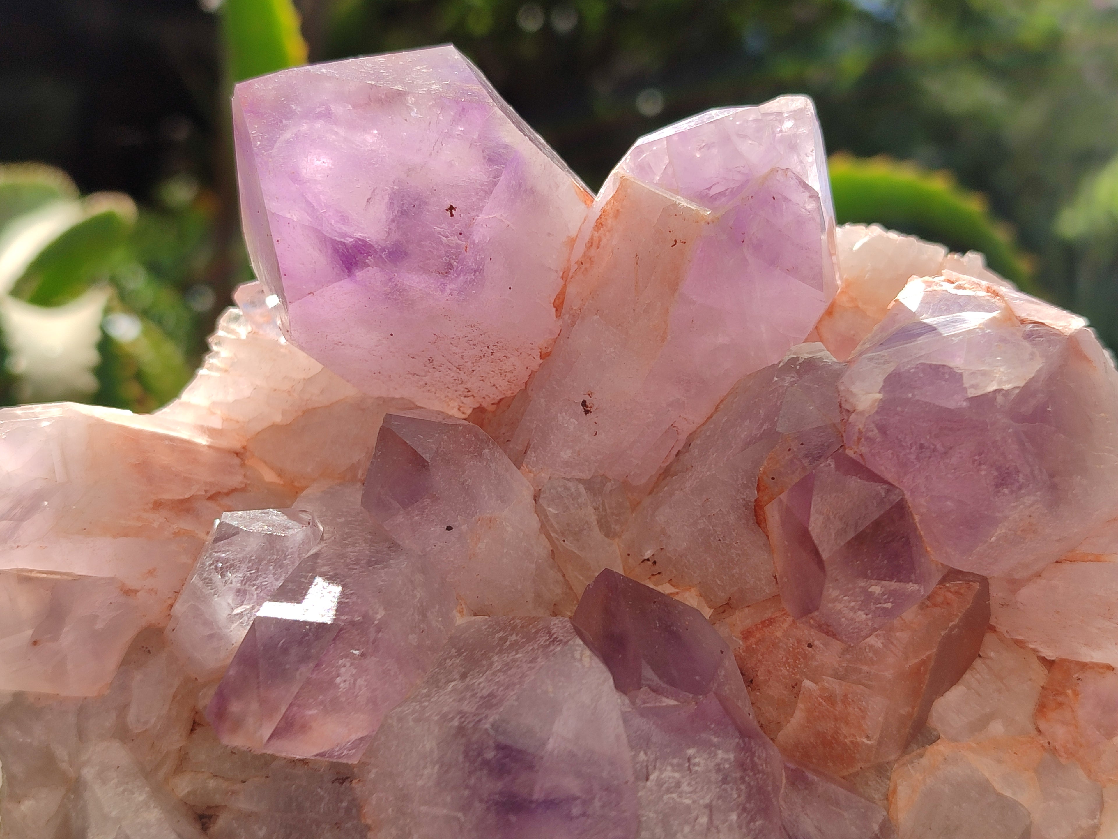 Natural Jacaranda Amethyst Quartz Clusters x 2 from Mumbwa, Zambia - Toprock Gemstones and Minerals 