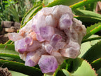Natural Jacaranda Amethyst Quartz Clusters x 2 from Mumbwa, Zambia - Toprock Gemstones and Minerals 