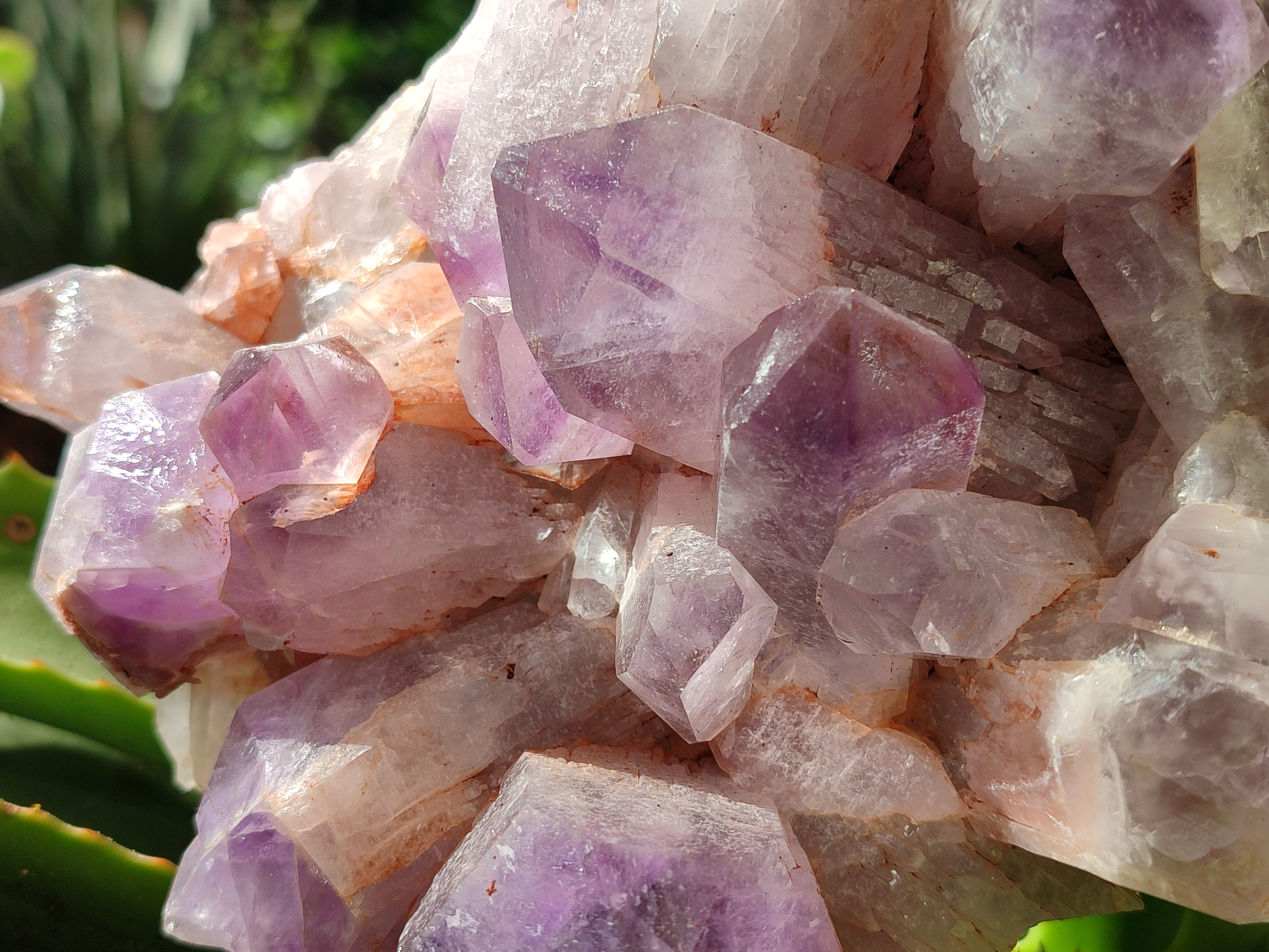 Natural Jacaranda Amethyst Quartz Clusters x 2 from Mumbwa, Zambia - Toprock Gemstones and Minerals 