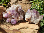 Natural Jacaranda Amethyst Quartz Clusters x 2 from Mumbwa, Zambia - Toprock Gemstones and Minerals 