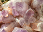 Natural Jacaranda Amethyst Quartz Clusters x 2 from Mumbwa, Zambia - Toprock Gemstones and Minerals 