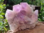 Natural Jacaranda Amethyst Quartz Clusters x 2 from Mumbwa, Zambia - Toprock Gemstones and Minerals 