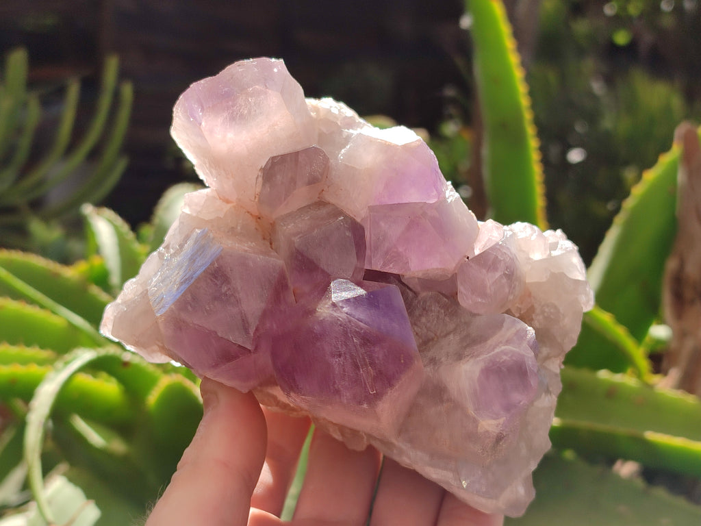 Natural Jacaranda Amethyst Quartz Clusters x 2 from Mumbwa, Zambia - Toprock Gemstones and Minerals 