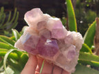 Natural Jacaranda Amethyst Quartz Clusters x 2 from Mumbwa, Zambia - Toprock Gemstones and Minerals 
