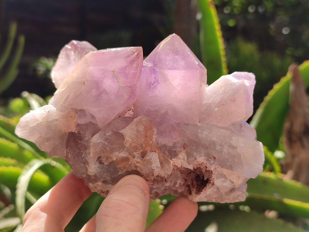 Natural Jacaranda Amethyst Quartz Clusters x 2 from Mumbwa, Zambia - Toprock Gemstones and Minerals 