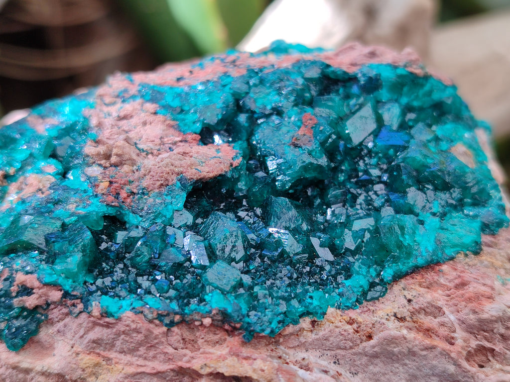Natural Dioptase On Dolomite Specimens x 1 From Likasi, Congo - Toprock Gemstones and Minerals 