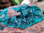 Natural Dioptase On Dolomite Specimens x 1 From Likasi, Congo - Toprock Gemstones and Minerals 