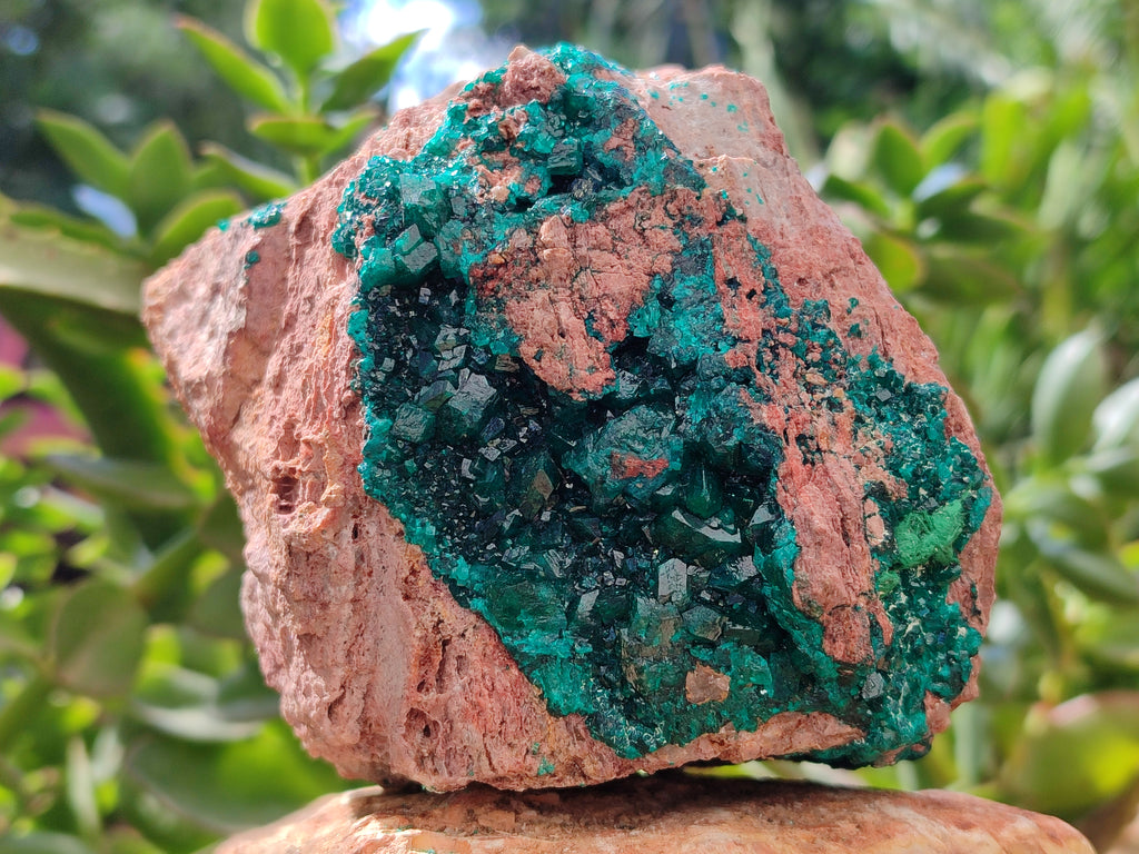 Natural Dioptase On Dolomite Specimens x 1 From Likasi, Congo - Toprock Gemstones and Minerals 