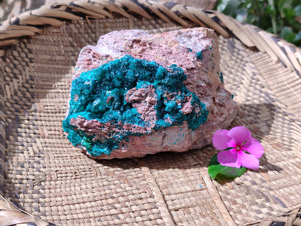 Natural Dioptase On Dolomite Specimens x 1 From Likasi, Congo - Toprock Gemstones and Minerals 