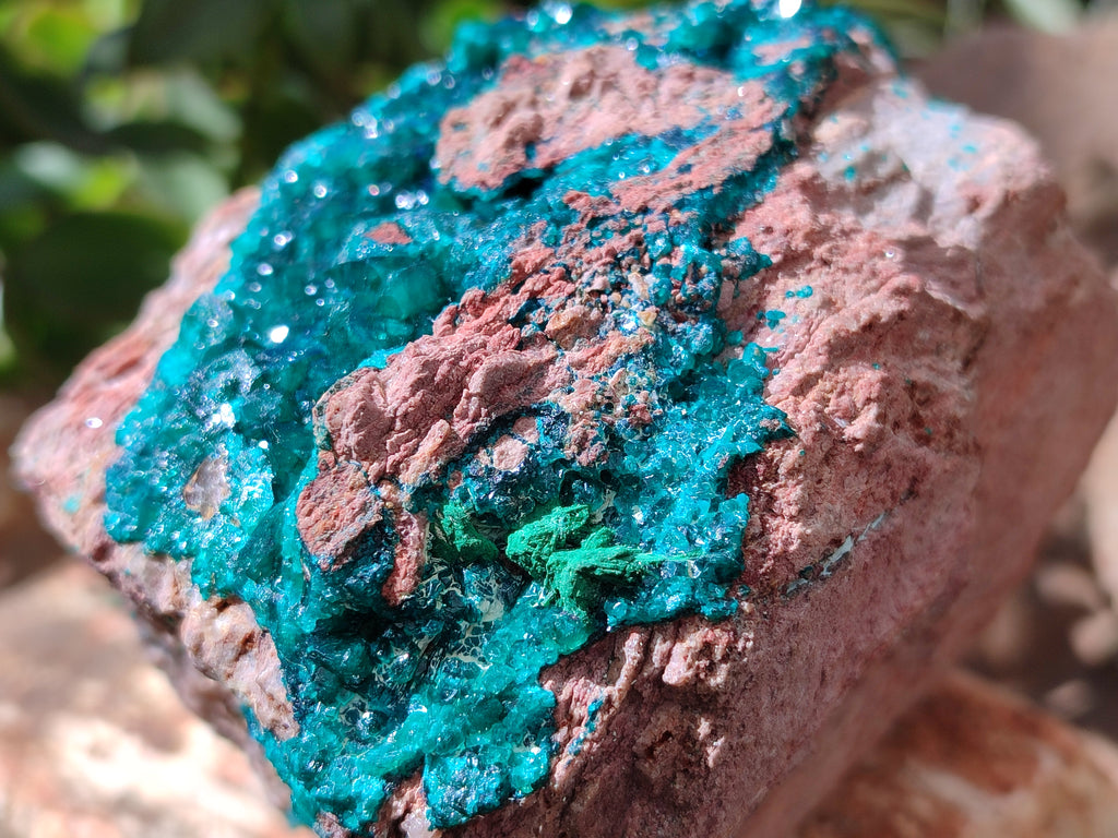Natural Dioptase On Dolomite Specimens x 1 From Likasi, Congo - Toprock Gemstones and Minerals 