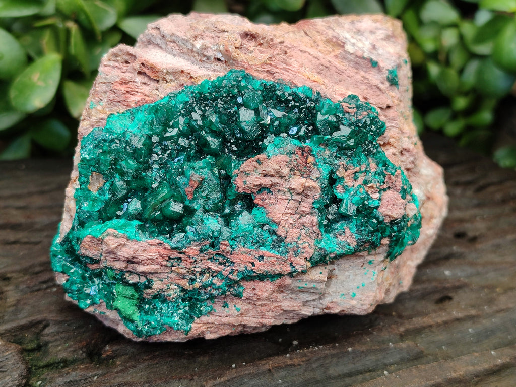 Natural Dioptase On Dolomite Specimens x 1 From Likasi, Congo - Toprock Gemstones and Minerals 