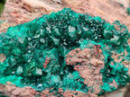 Natural Dioptase On Dolomite Specimens x 1 From Likasi, Congo - Toprock Gemstones and Minerals 